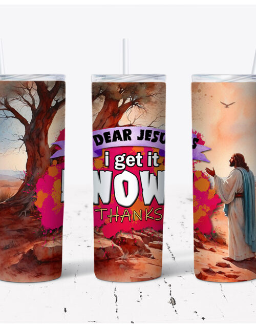 Dear Jesus I Get It Now Thanks – Stainless Steel Tumbler (20 oz)
